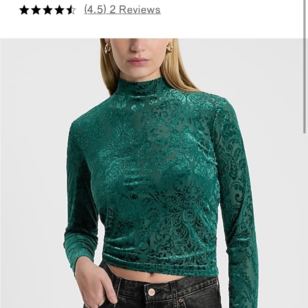 NWT Elegant Green Velvet Top